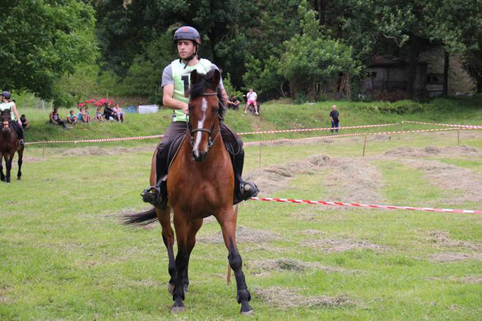 Zaldien gainean lehian 21 1497207224147