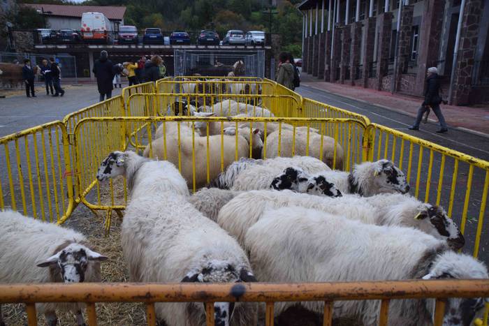 Berastegi hogeita batgarren  21 1572793371669