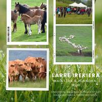 Larre irekiera