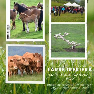 Larre irekiera