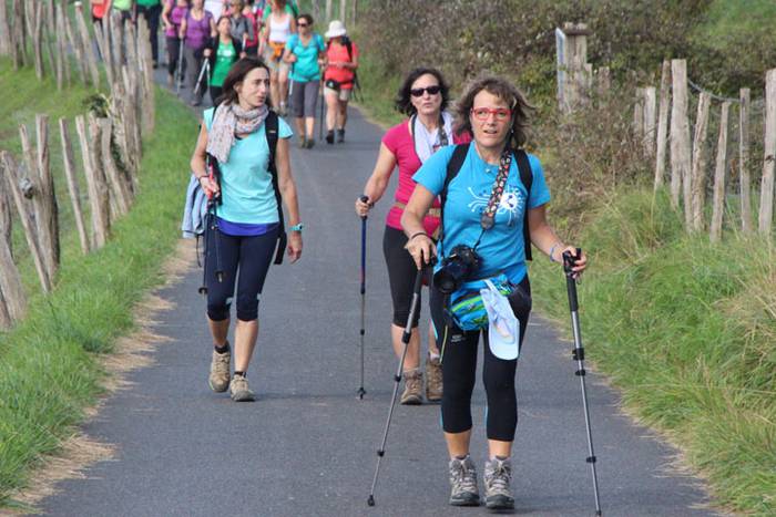 2016 bidea 37 1471776013590