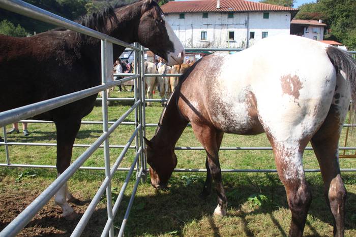 Berezia eta jendetsua 64 1506256813892