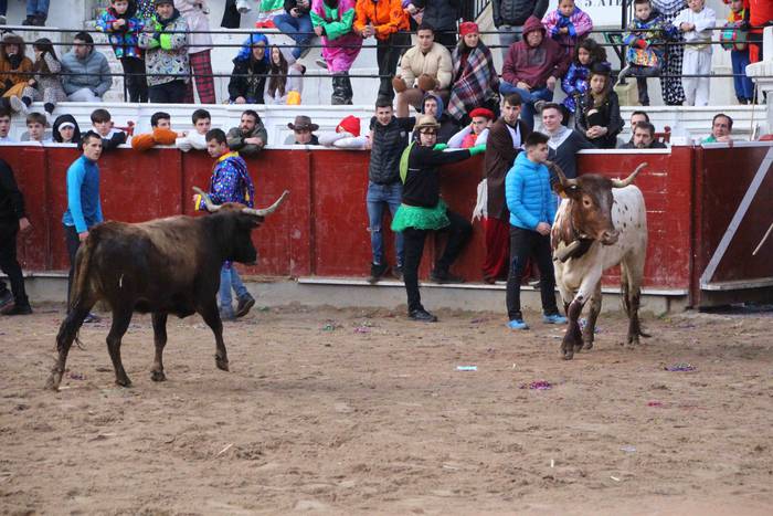 Tolosako Inauteriak 2022 Ast 49 1646130179926