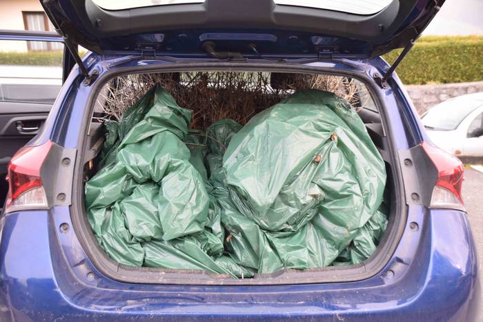 Baliarrain Zuhaitz Eguna 202 11 1644668813992