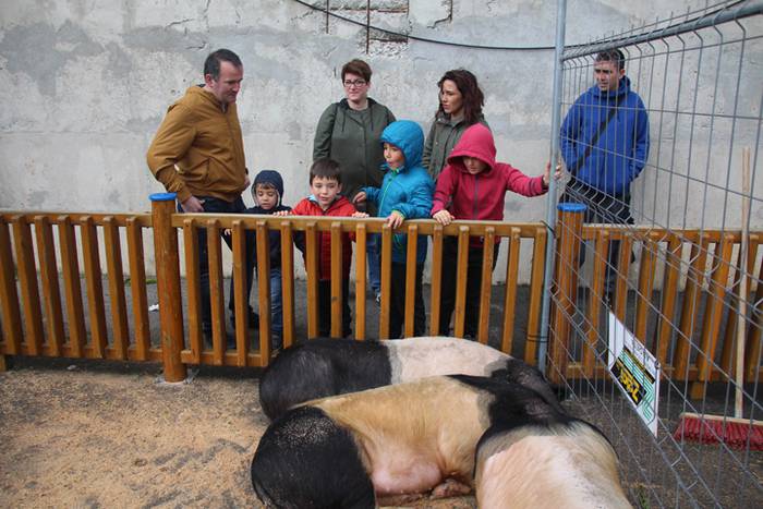 Abeltzain eta artisauen azoka hernialden 11 1462708880885