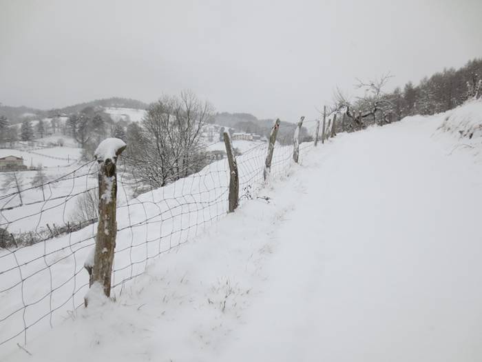 Argazki galeria: Tolosaldea, 43 1519809923955