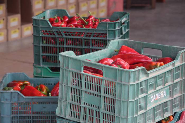 Baratzeak eta tailerrak, fro 18 1509287284364