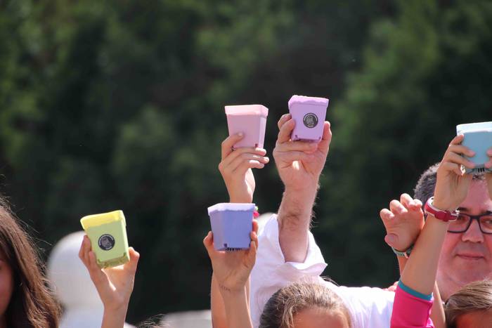 Tolosako Babarruna erein da 25 1559904712632