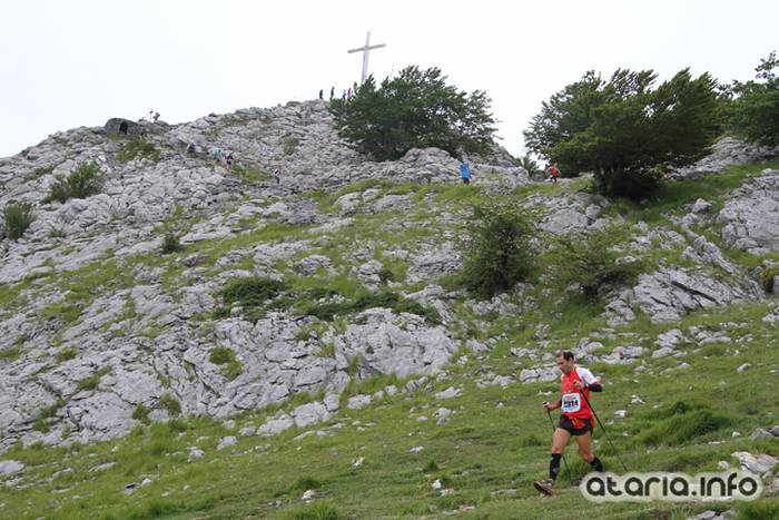 T3T tontor 2016 hernio 70 1466351095943