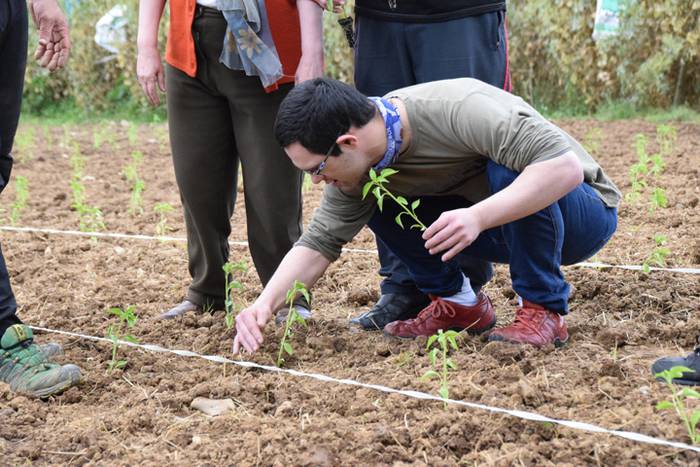 Piper landaketa uzturpe gureak  789 taldea 37 1464793780015