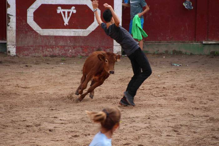 Zezen plaza hartu dute umeek 35 1539360895410