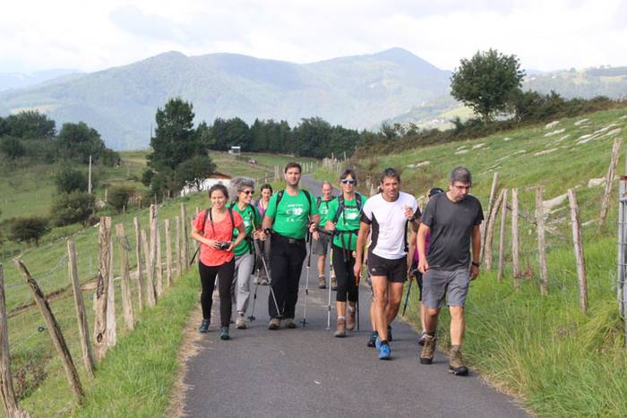 2016 bidea 41 1471776042067