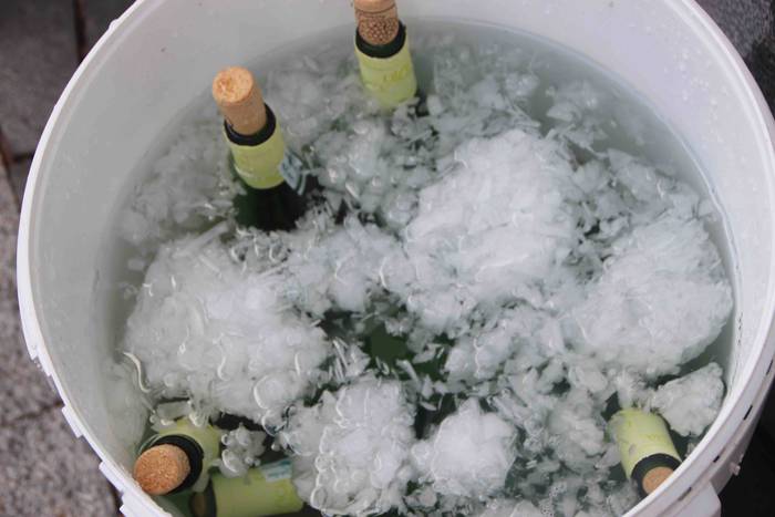 Aparrez busti dira Leaburun 39 1530444835167