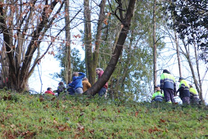 Tolosako ikasleek zuhaitzak  2 1520435414110