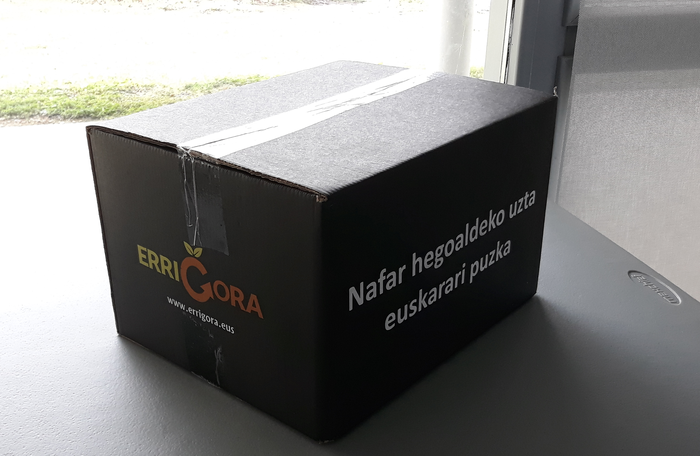 Zozkatu dituzte Errigorako saskiak