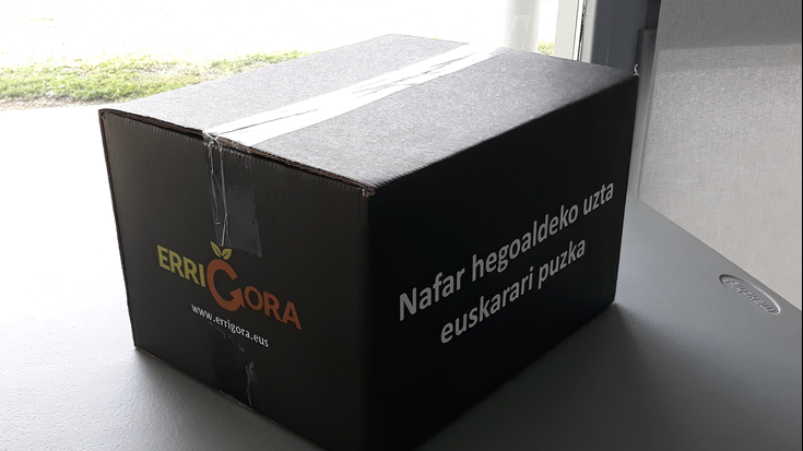 Zozkatu dituzte Errigorako saskiak