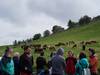 «Herritar guztien festa da»