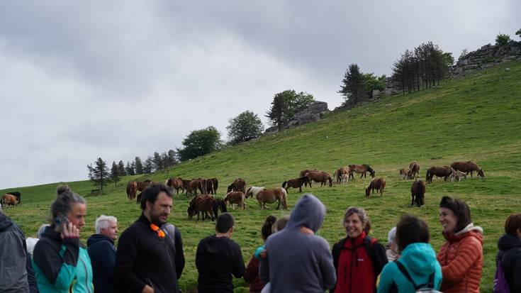 «Herritar guztien festa da»