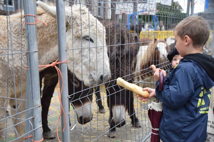 Berastegi hogeita batgarren  27 1572793377030