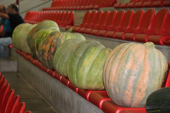 Hutsik egiten ez duen azoka berezia 1 1474812990510