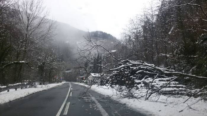 Elkartasun uholdea, elurtea  14 1515429994248