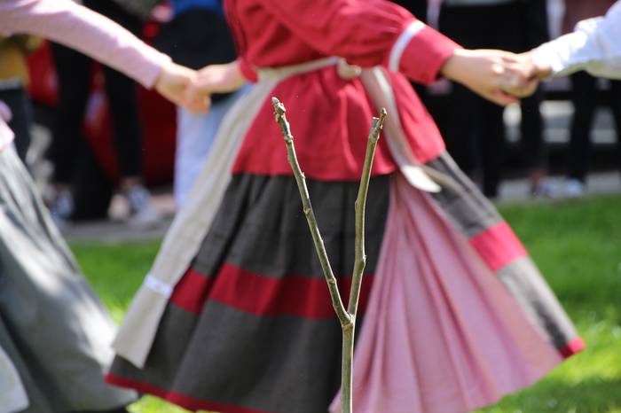 intxaurrondoa landatu villab 38 1647095077831