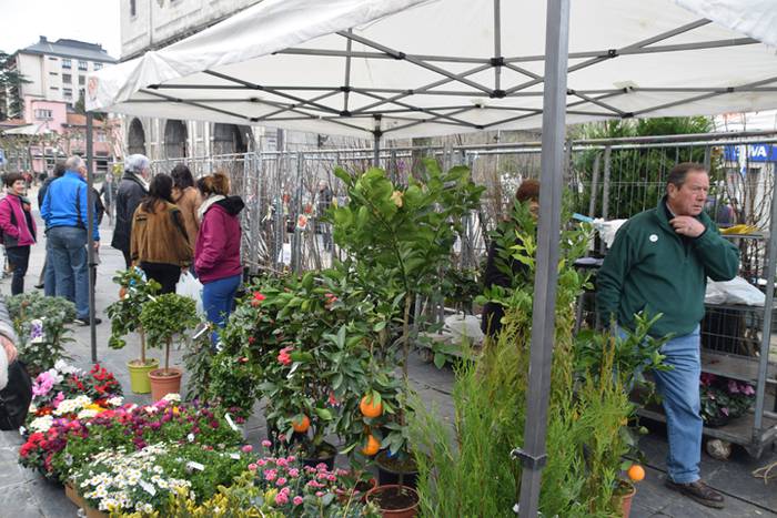 Zuhaitz Azoka, Tolosa, 2017 4 1486819585760