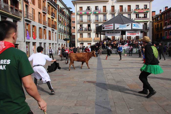 Soka zintzilik eta muturrak  49 1646140704722