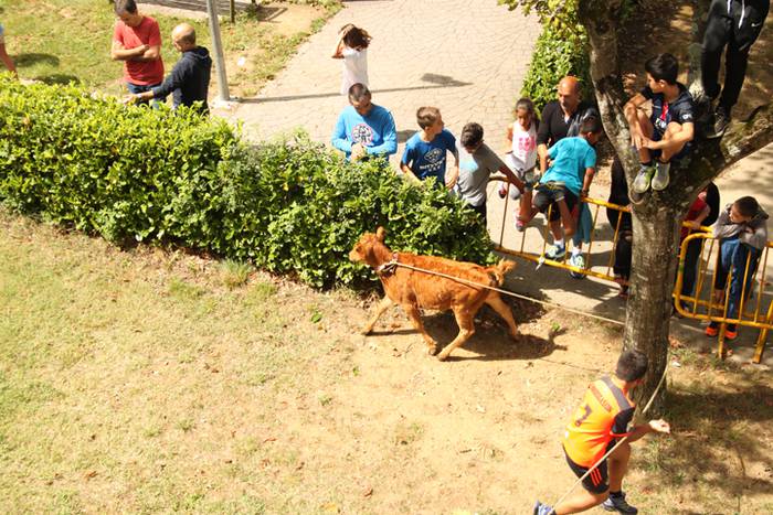 Ikaztegietako Jaiak 2017, um 3 1502457163615