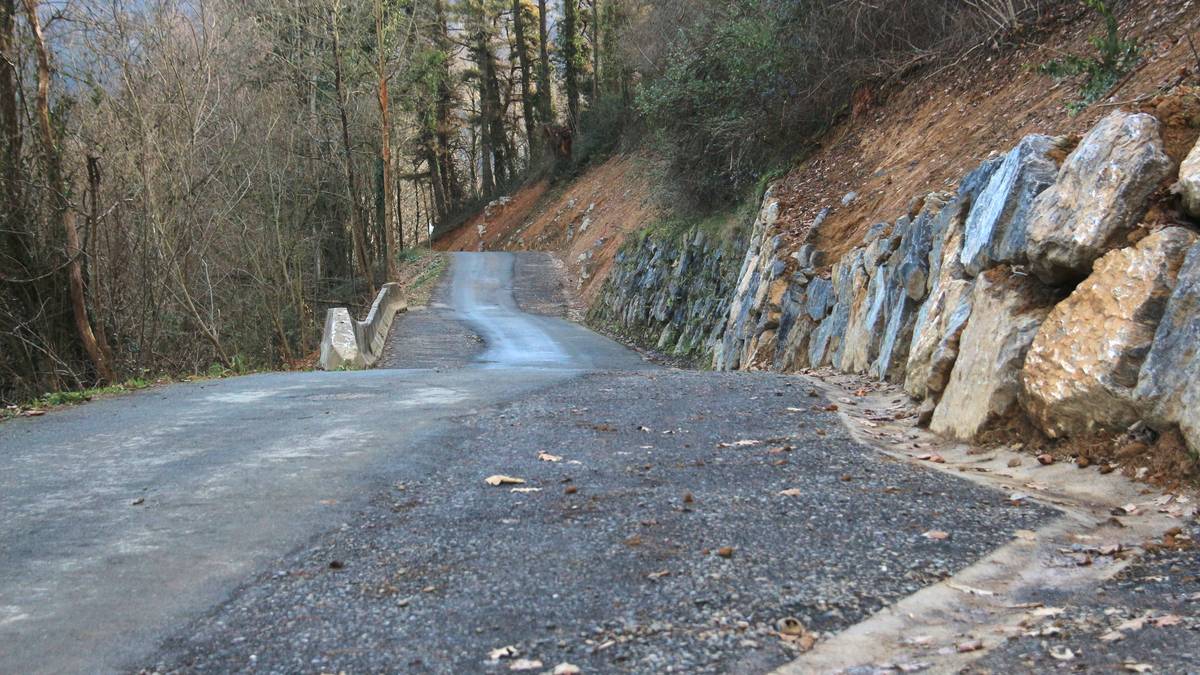 Txingurri bailarako bidea zabaltzen ari dira