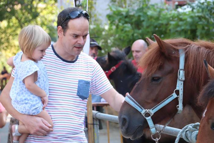 "Ibarra, Azoka eta Piparra" 71 1537103528374