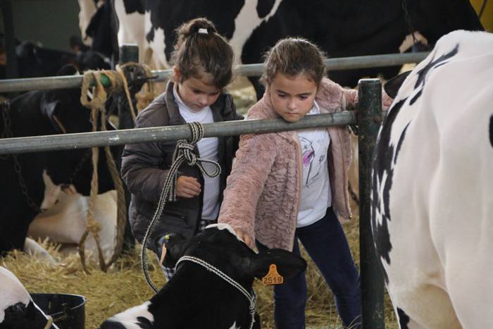 Frisoi Txapelketa 2015 15 1447530180748