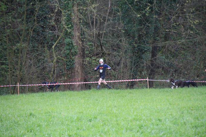 Zizurkilgo I. txakurkrosa 15 1460224048017