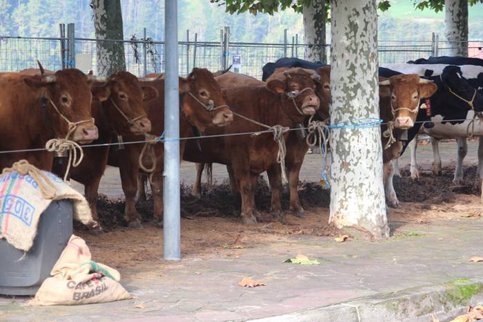 Herritarren salerosketarako  4 1509290176094