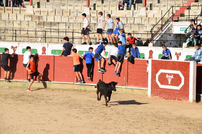 Berazubiko festak 2017, zeze 33 1507822916593