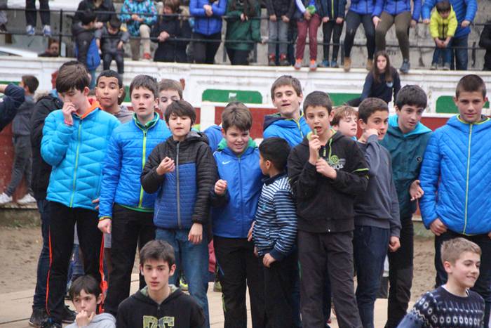 Txaranga eta zezenak piñata  40 1488738960409