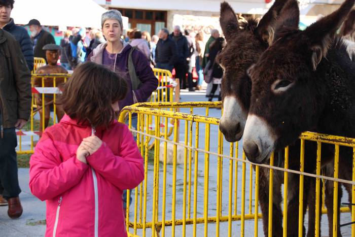 Azoka eguna ospatu dute Bera 26 1541345755229