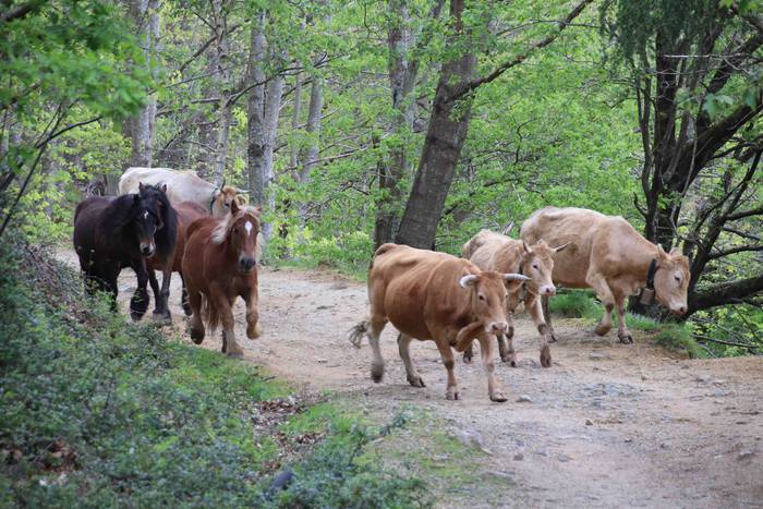 Larre irekiera festa Komizar 2 1650713592969