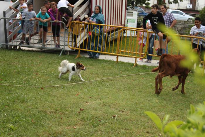 Ikaztegietako Jaiak 2017, um 17 1502457259429