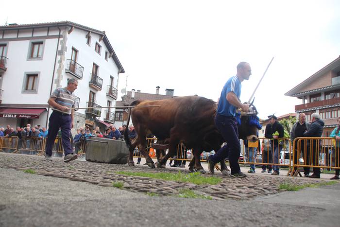 San Isidro Eguna Amasa Astea 8 1526395710289