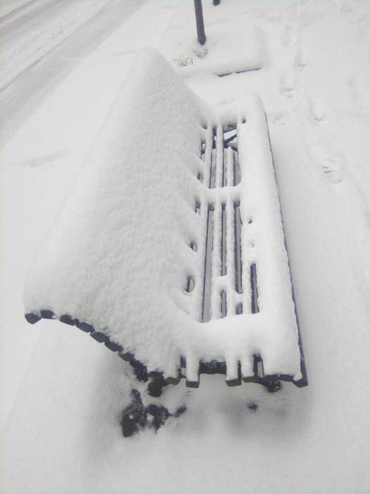 Argazki galeria: Tolosaldea, 69 1519813397555