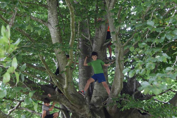 Mugak senidetzeei bide eman  22 1503145485287