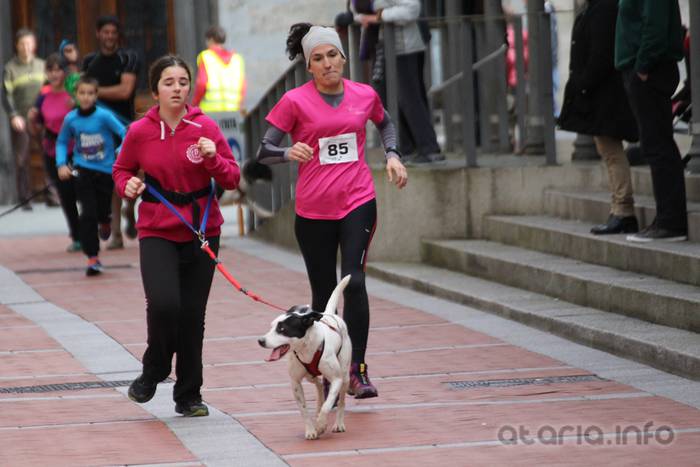 txakur krosa tolosa 2016 18 1458498837512