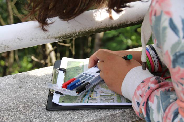 Espezia inbaditzaileak 9 1494600458048