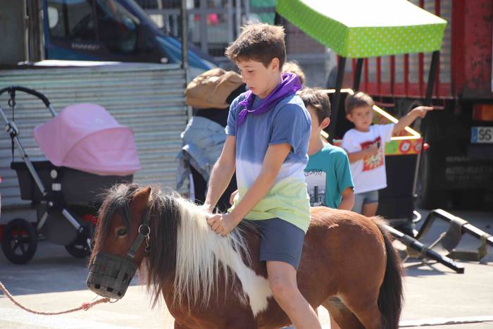 Festak hasteko, poniak eta z 5 1566993966205