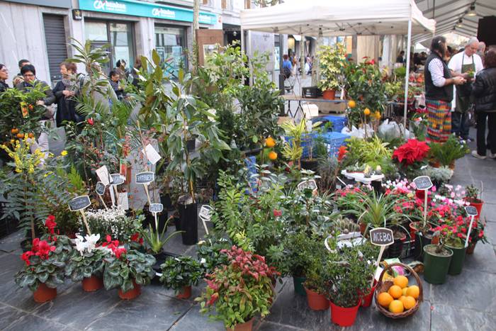 Tolosa Gabonetako Azoka berezia 2015 53 1450532633641