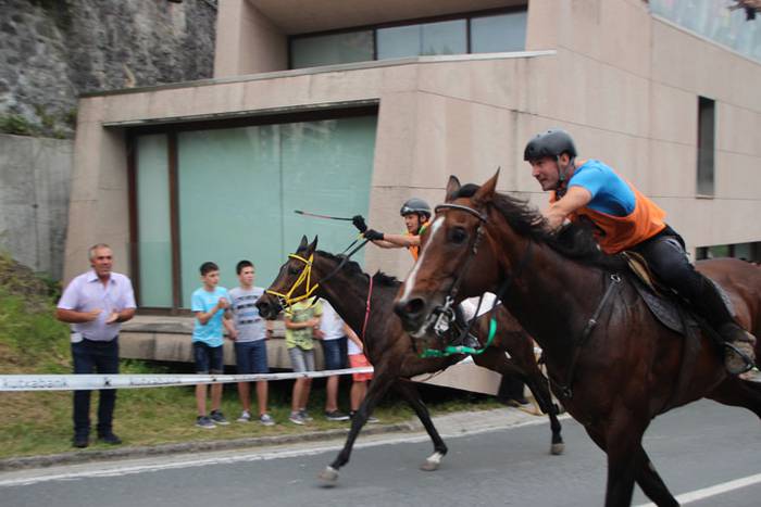 Zaldi gainean lasterka Abalt 18 1498413121921