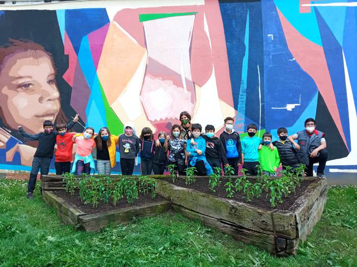 Piperrak landatu dituzte Iba 7 1621252670894