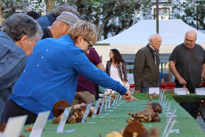 Perretxikoen plaza 15 1666439566361