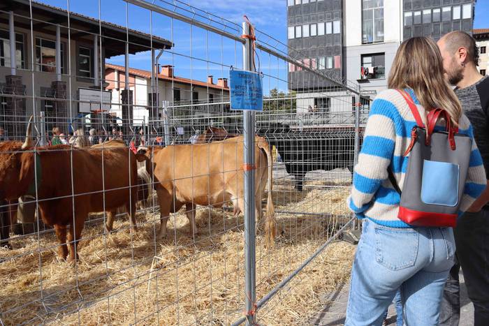 Sari guztiak banatu dituzte, 9 1667751714913